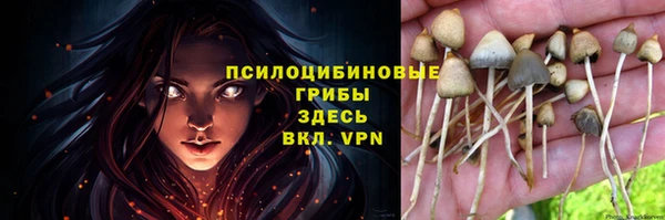 сатива Наволоки