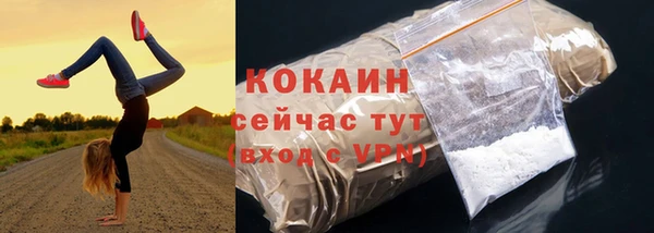 сатива Наволоки